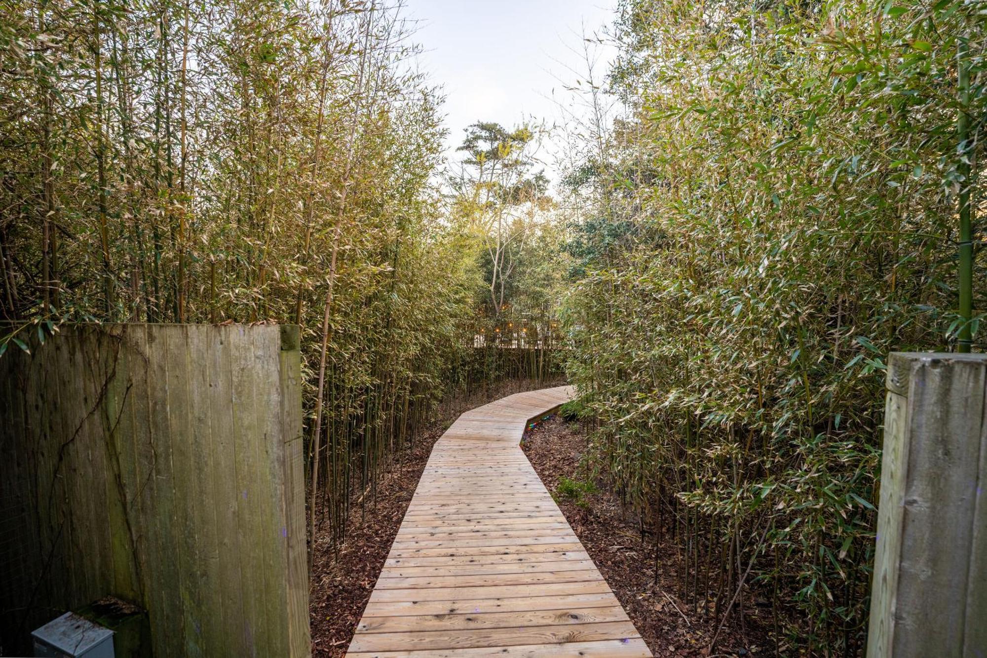 Hotel The Madison Fire Island Pines Esterno foto